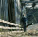 Ghosttown_1.jpg (67994 bytes)